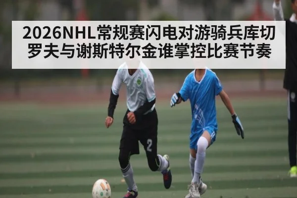 2026NHL常规赛闪电对游骑兵库切罗夫与谢斯特尔金谁掌控比赛节奏